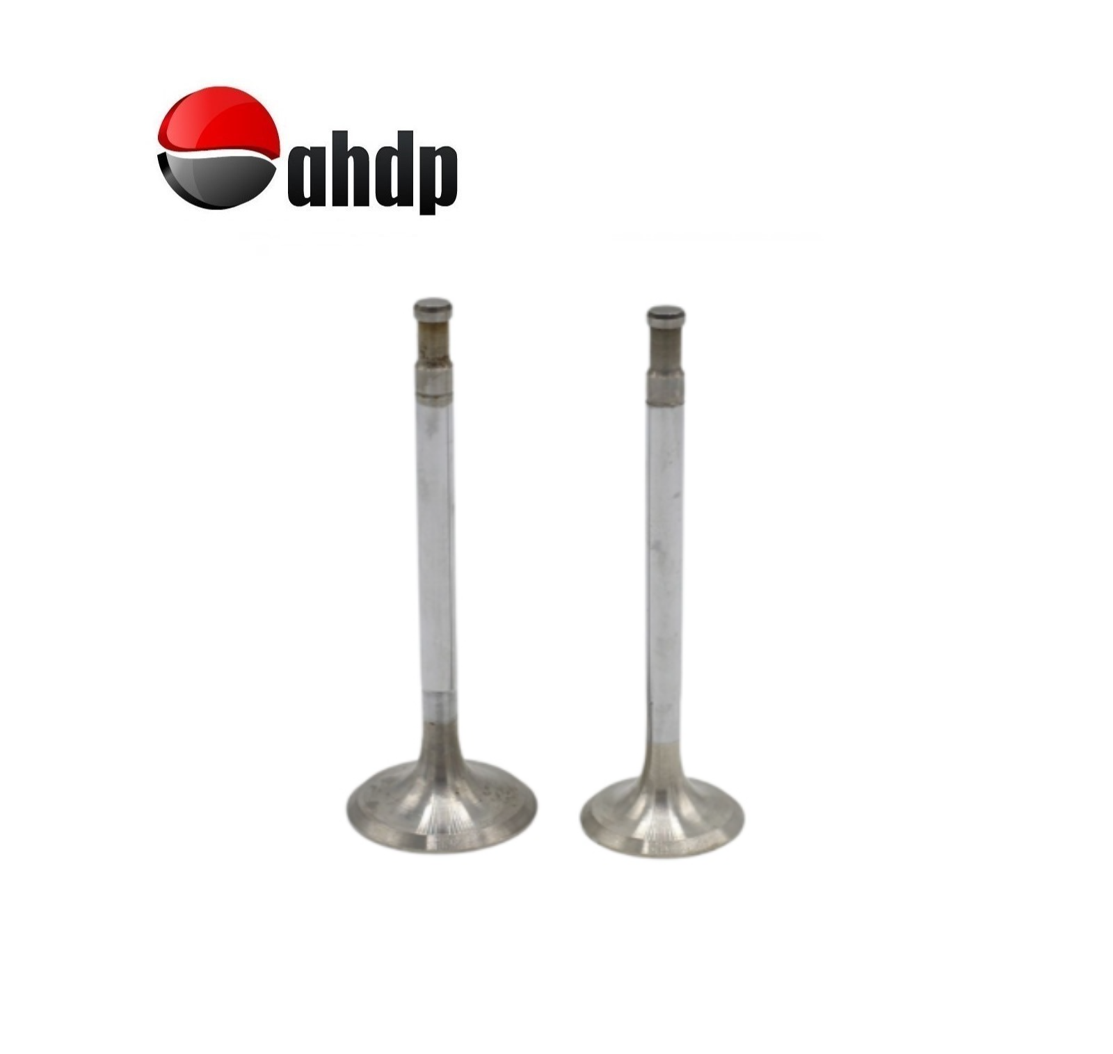 ENGINE VALVE SET IN+EX HATZ - HZ0103038800, HZ0103038900